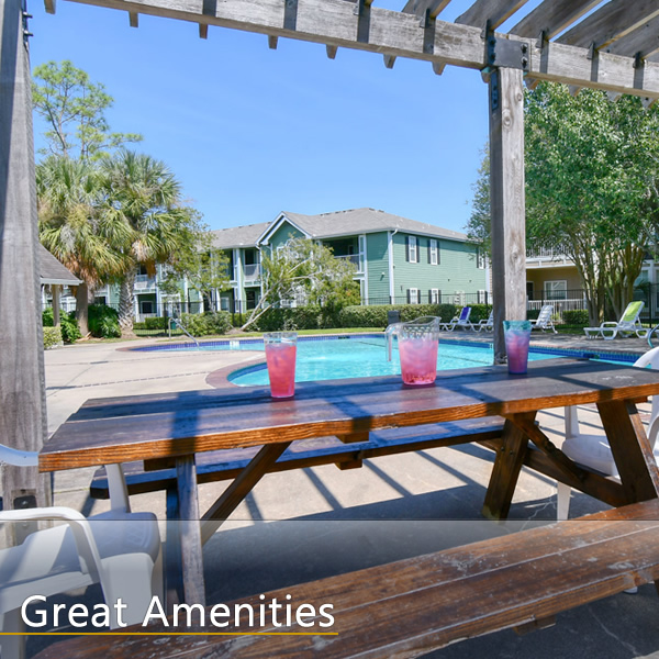 Features and Amenities